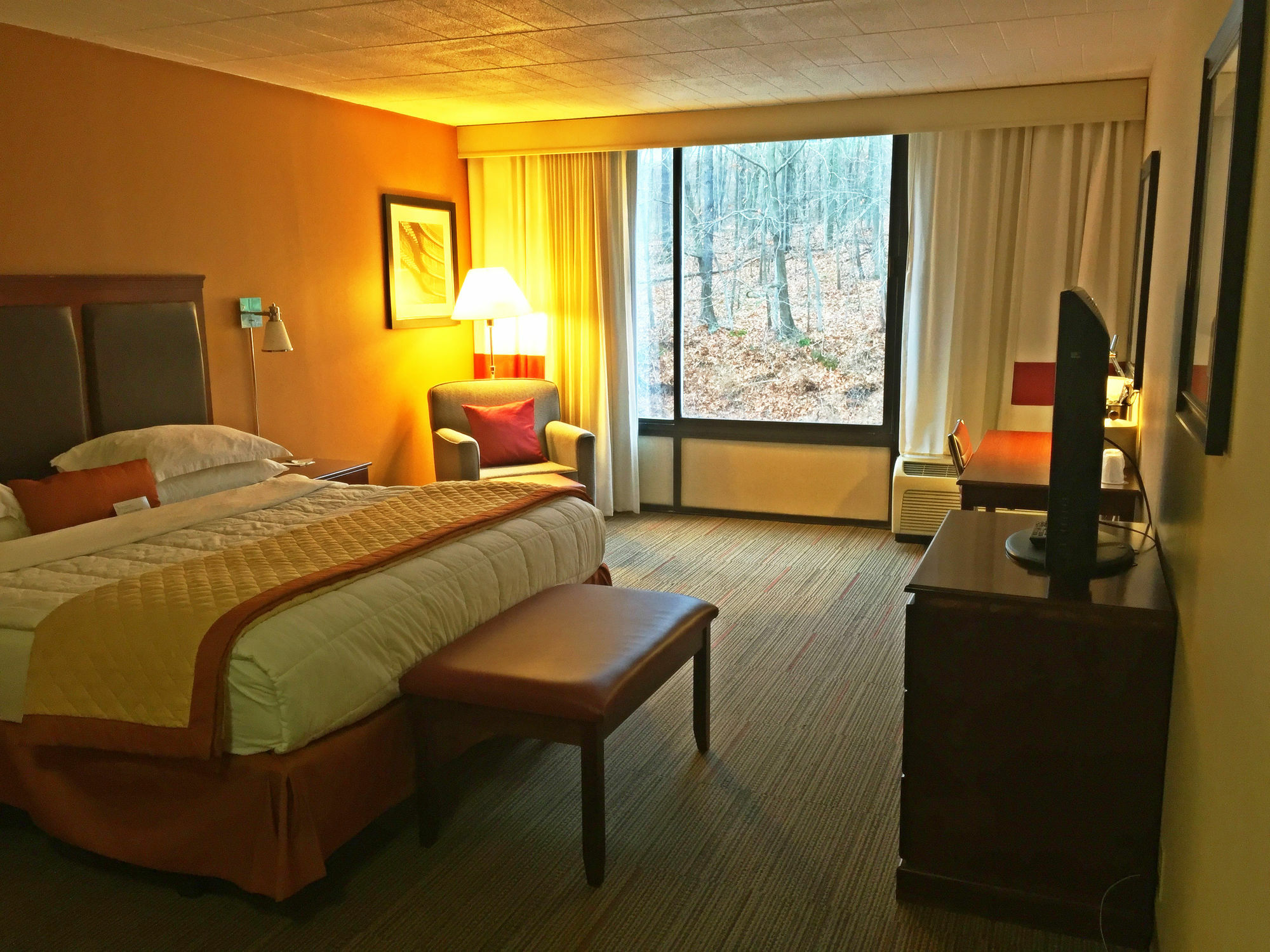 Wyndham Garden Inn Pittsburgh Airport Robinson Township Zewnętrze zdjęcie